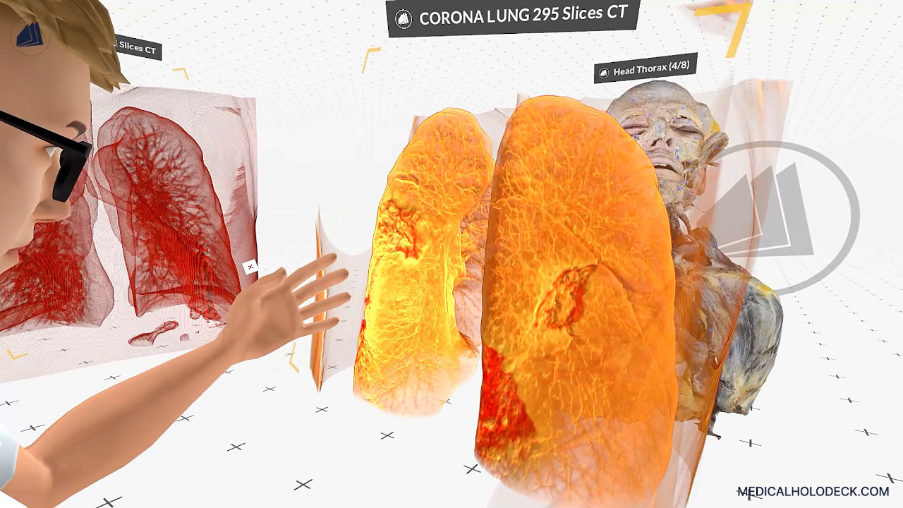 Exploring the human lungs thumbnail 1